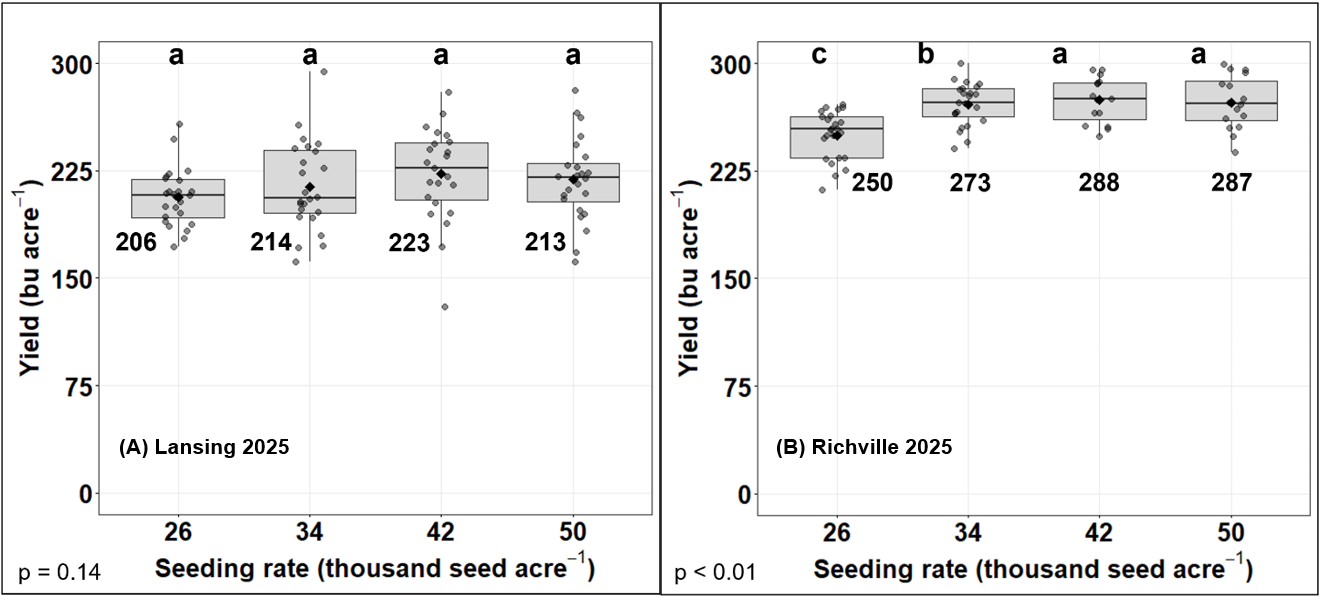 Side-by-side boxplots show 2025 corn yield by seeding rate (26, 34, 42, and 50 thousand seeds per acre) at Lansing and Richville.  At Lansing, yields ranged from 206 to 223 bu/ac with no significant differences among seeding rates (p = 0.14). At Richville, yields increased from 250 bu/ac at 26K to 288&ndash;287 bu/ac at 42K&ndash;50K, with higher seeding rates significantly outperforming the lowest rate (p < 0.01).